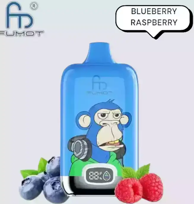 RandM Fumot Digital Box 12000 Puffs Vape avec saveurs variées et grande autonomie