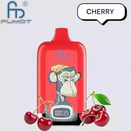 RandM Fumot Digital Box 12000 Puffs Vape avec saveurs variées et grande autonomie