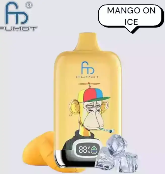 RandM Fumot Digital Box 12000 Puffs Vape avec saveurs variées et grande autonomie