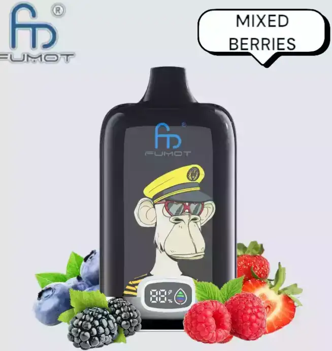RandM Fumot Digital Box 12000 Puffs Vape avec saveurs variées et grande autonomie