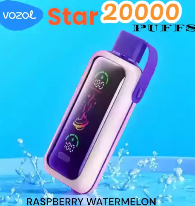 Vozol Star 20000 Puffs Vape Jetable avec Saveurs et Performance