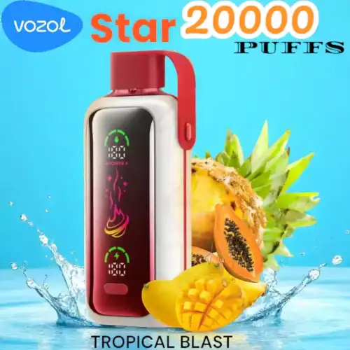 Vozol Star 20000 Puffs Vape Jetable avec Saveurs et Performance