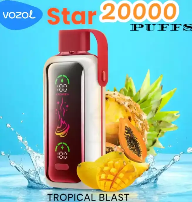 Vozol Star 20000 Puffs Vape Jetable avec Saveurs et Performance