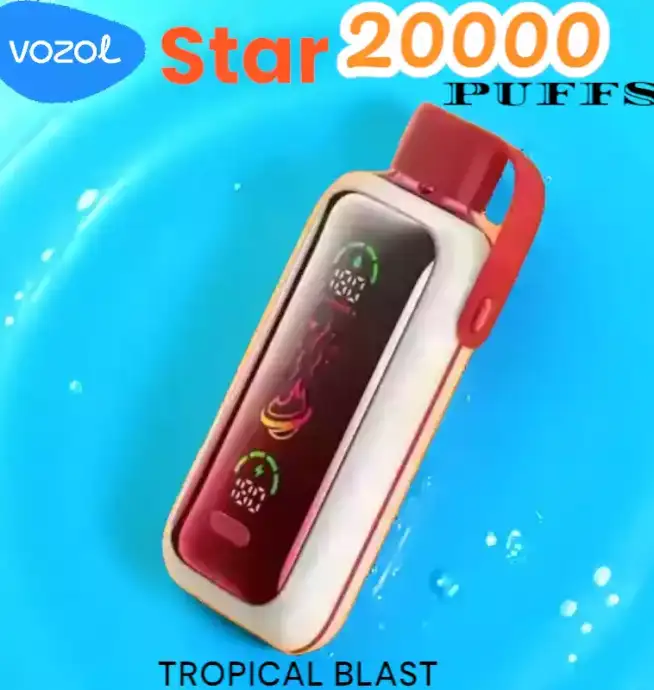 Vozol Star 20000 Puffs Vape Jetable avec Saveurs et Performance