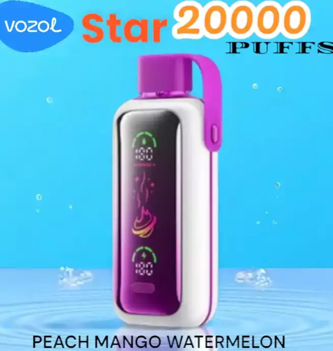 Vozol Star 20000 Puffs Vape Jetable avec Saveurs et Performance