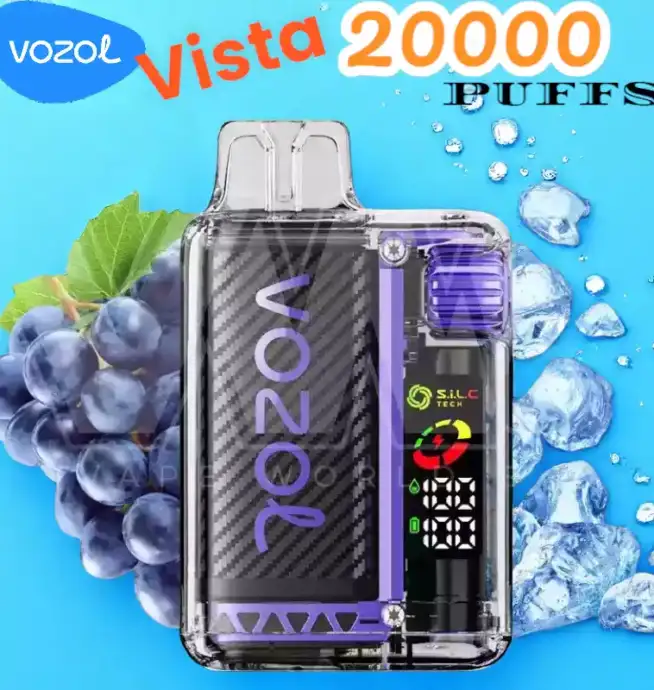 Vozol Vista 20000 Puffs Vape Jetable Écologique et Performant