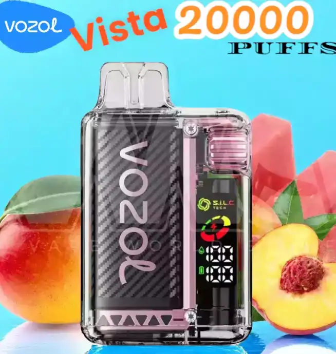 Vozol Vista 20000 Puffs Vape Jetable Écologique et Performant